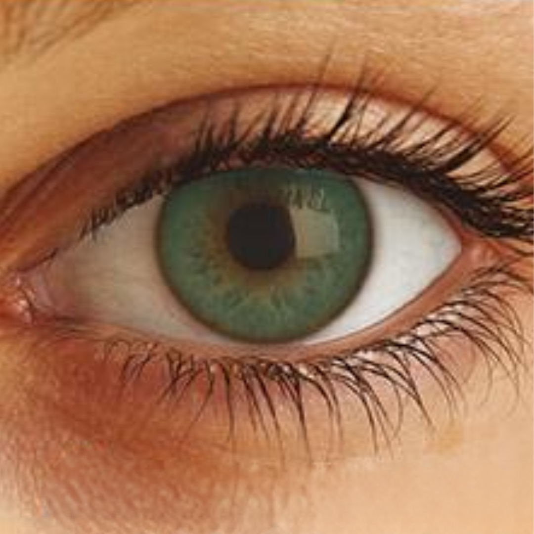 Optima Uso Anual Lentes de Contato