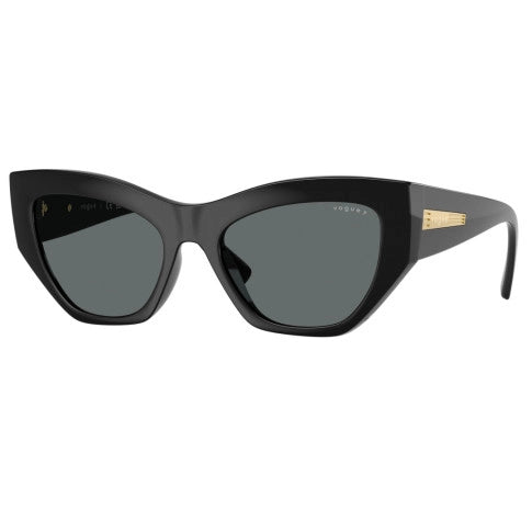 Óculos de Sol Gatinho Feminino VOGUE SL VO 5607S W4481 53