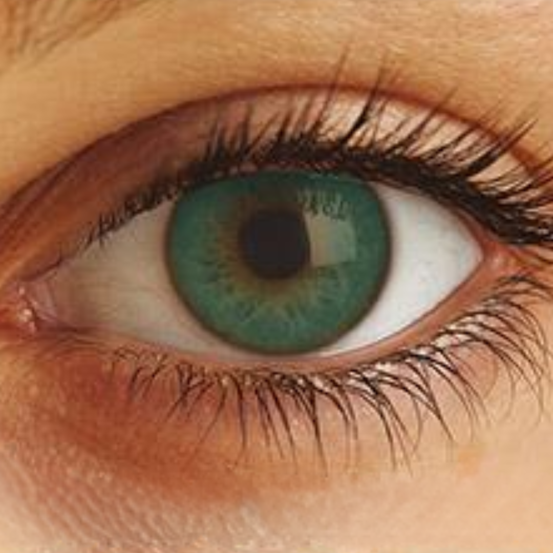 Optima Uso Anual Lentes de Contato