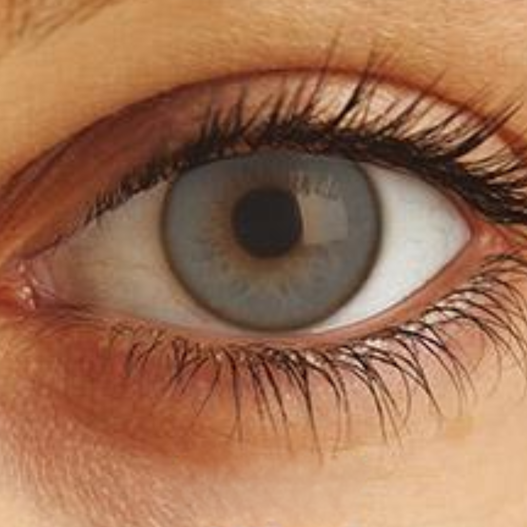 Optima Uso Anual Lentes de Contato
