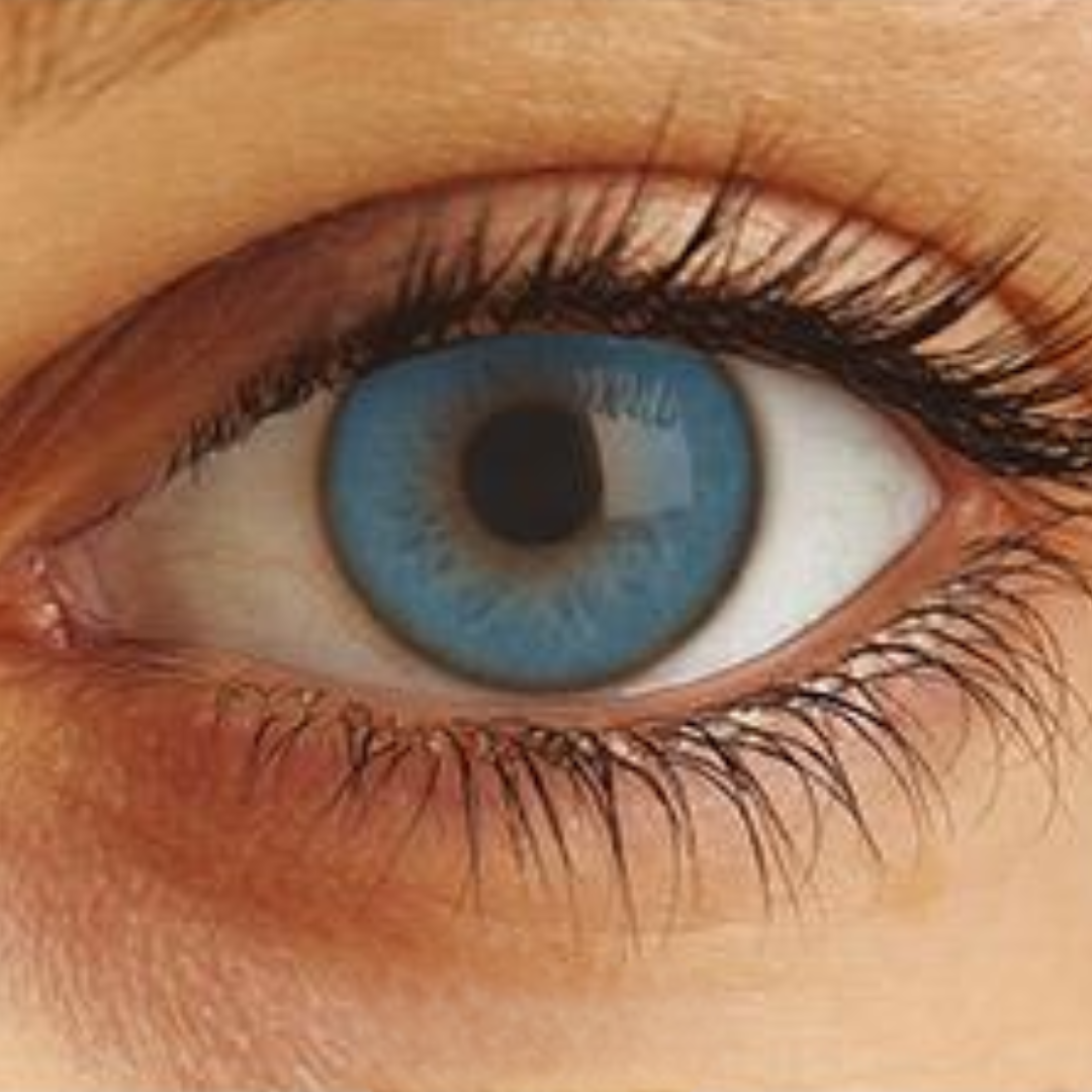 Optima Uso Anual Lentes de Contato