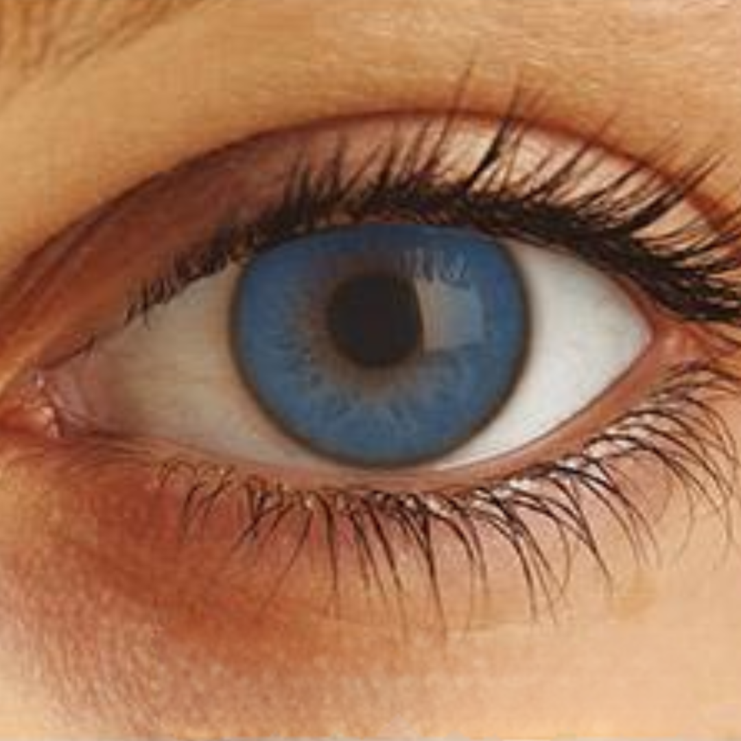 Optima Uso Anual Lentes de Contato