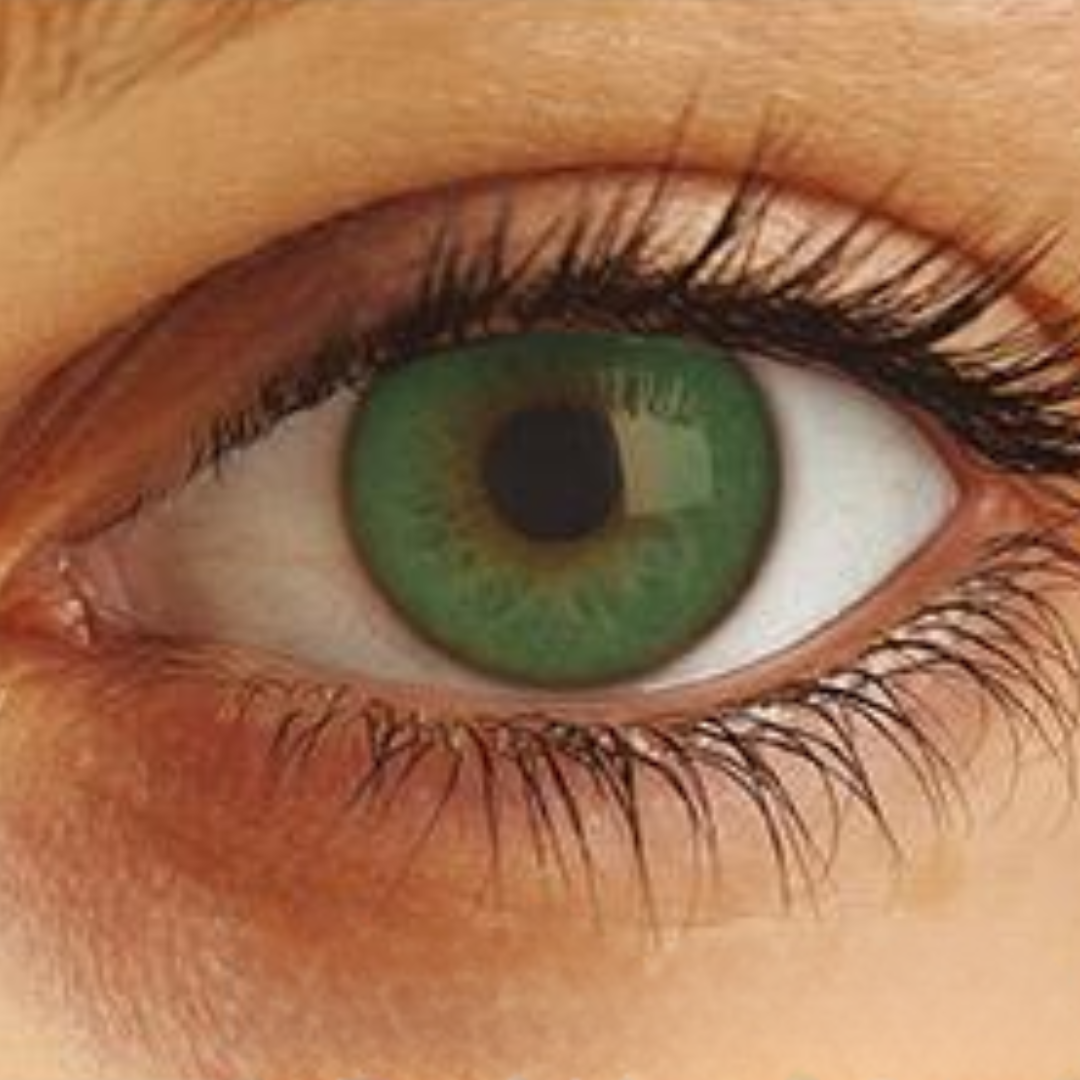 Optima Uso Anual Lentes de Contato