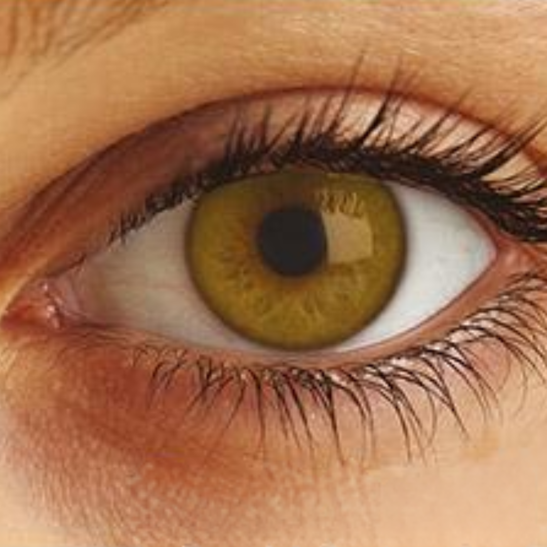 Optima Uso Anual Lentes de Contato
