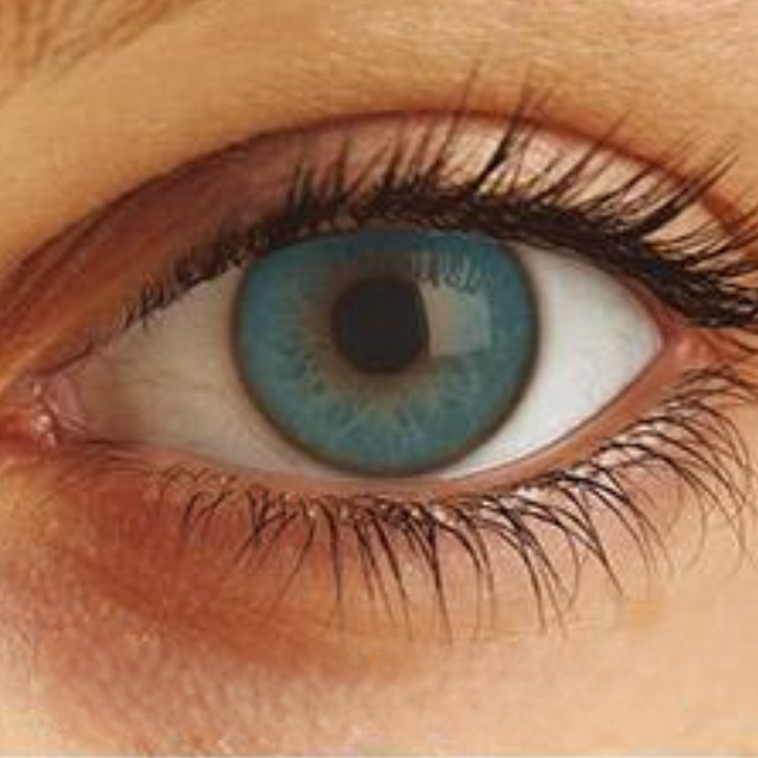 Optima Uso Anual Lentes de Contato