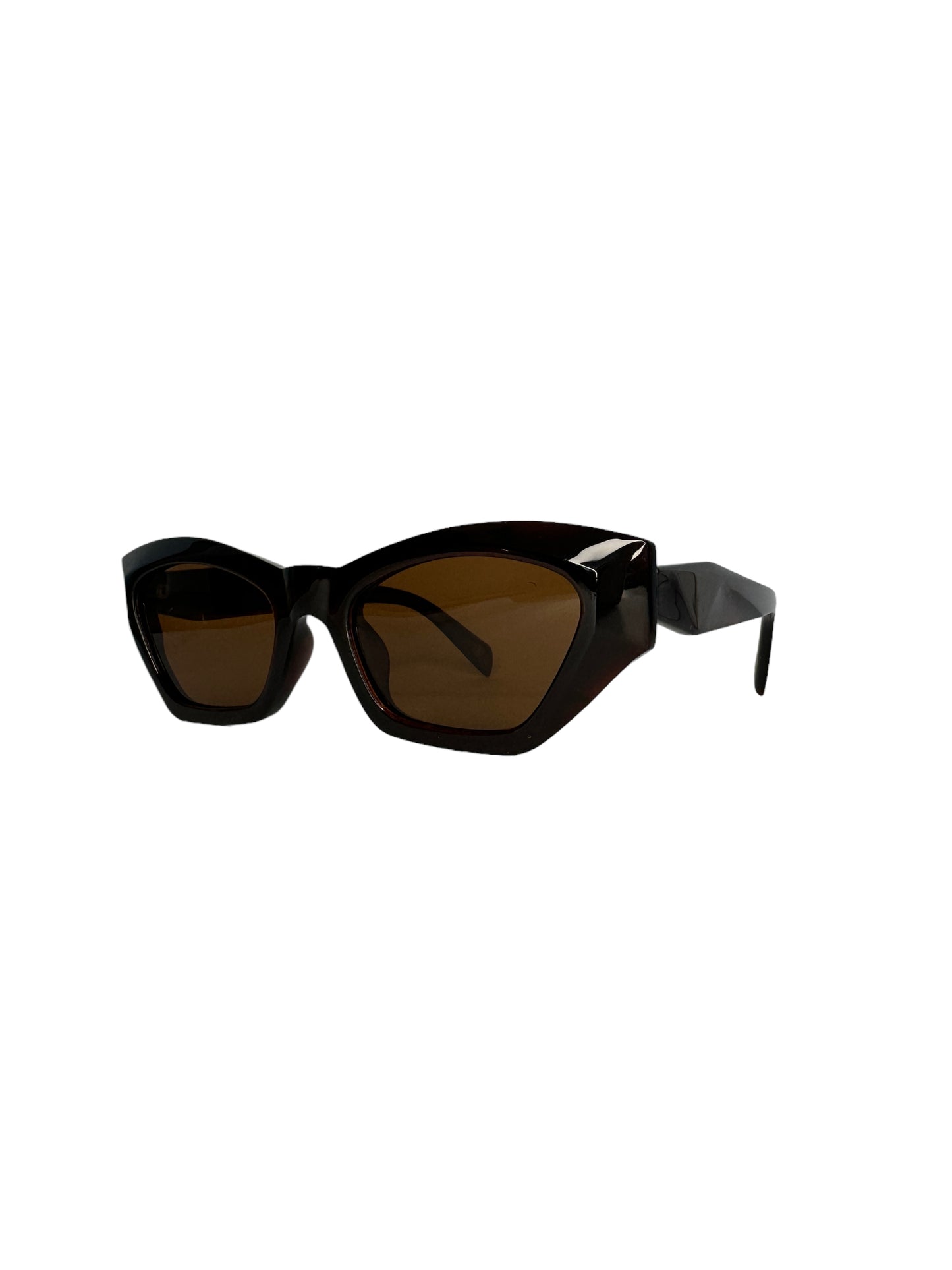 Óculos Feminino Acetato Marrom SL SU P106 C6 51