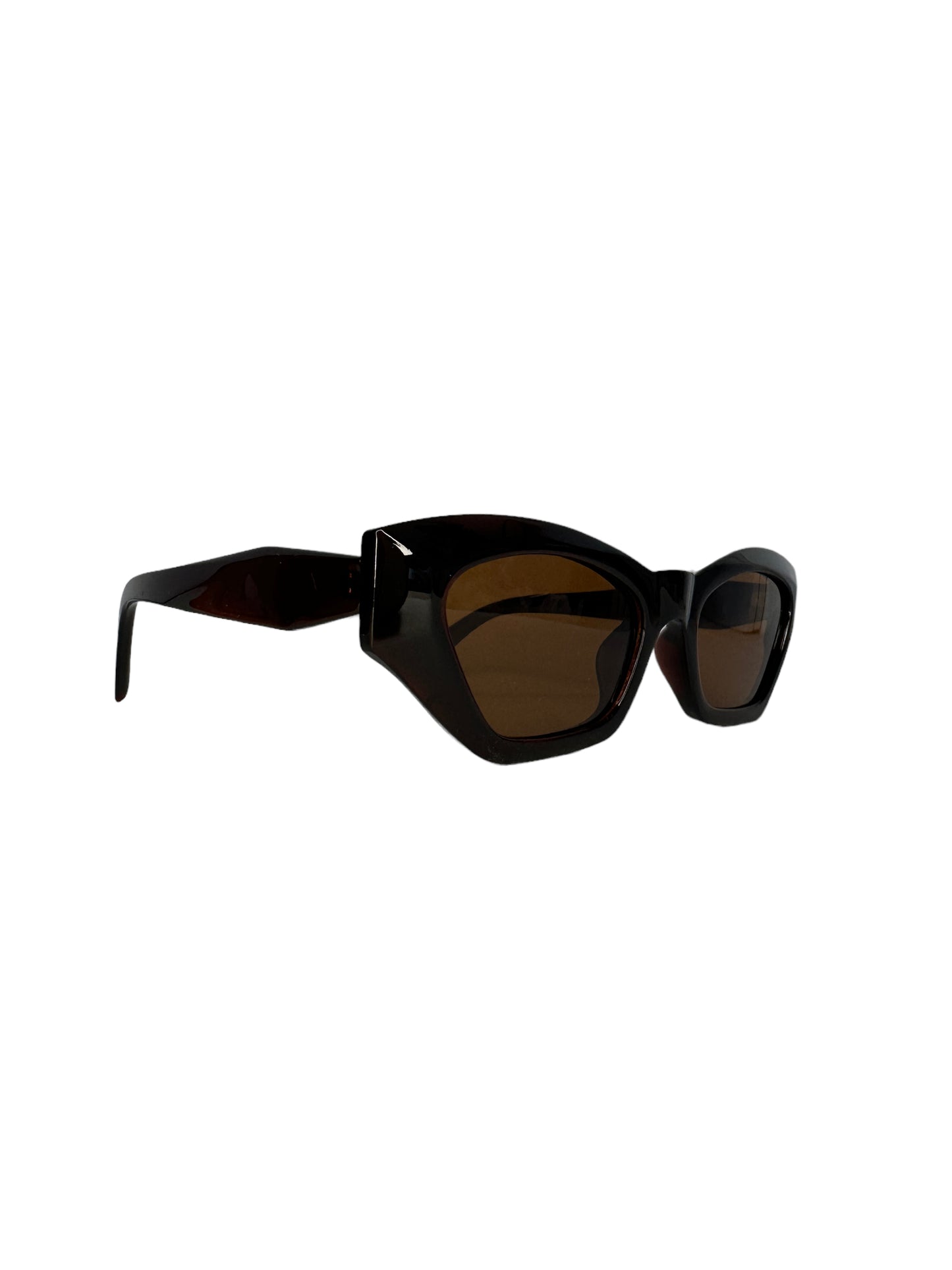 Óculos Feminino Acetato Marrom SL SU P106 C6 51