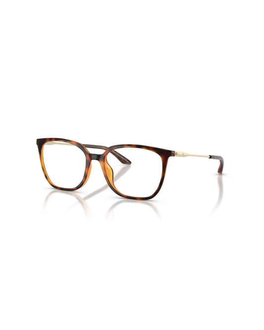 Óculos de Grau  Armani Exchange AX3142U 8213 52