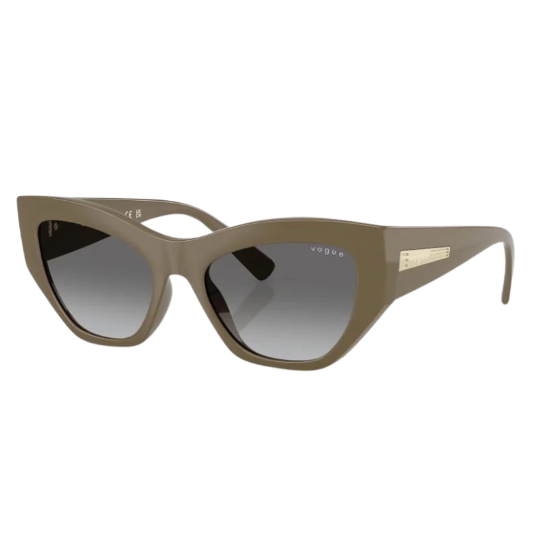 Óculos de Sol Gatinho Feminino VOGUE SL VO 5607S W4481 53