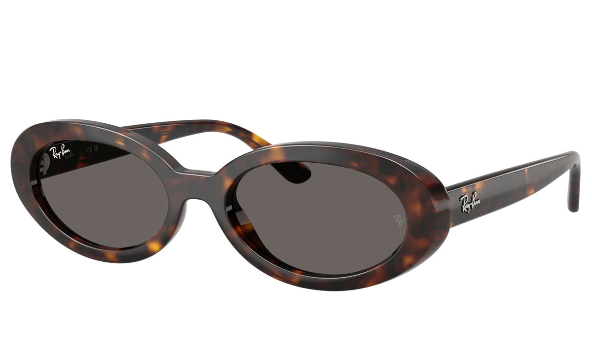Óculos de Sol Ray-Ban SL RB 2223 902/B1 54